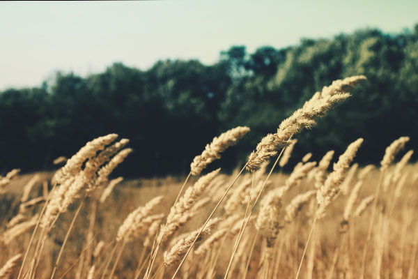 手机号自动轰炸